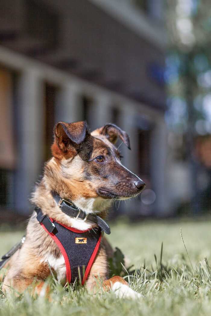 ��-���������� ����� ������