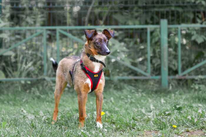 ��-���������� ����� ������