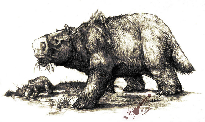 Glossotherium robustum