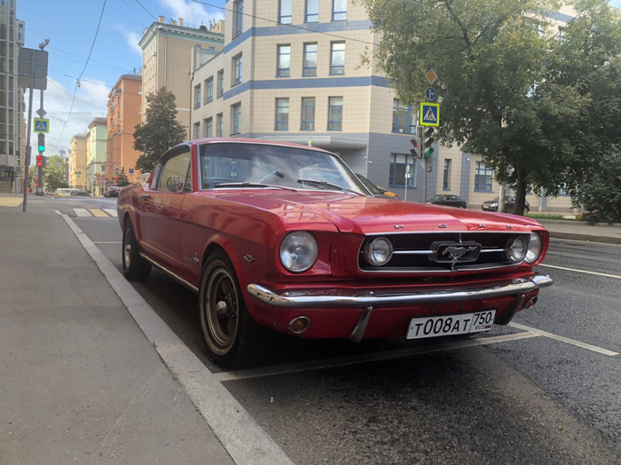 Все фото автора