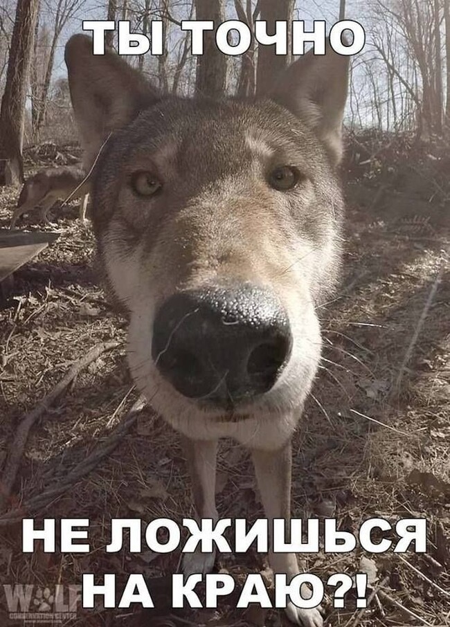 � �� ������?))