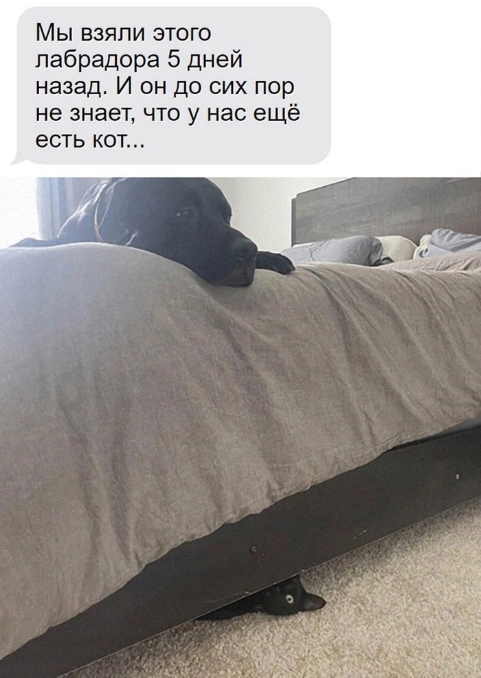 169886534027026268.jpg
