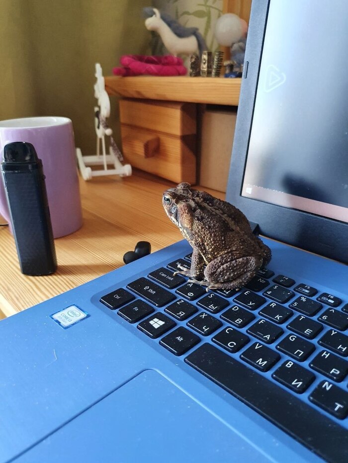 ������� �����, ��� ������