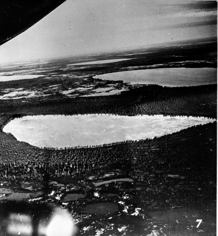 1. ������. ��� � ������� �� ���������� ���������. �� ������ ������� ���� ���������� � ��������� ��������.