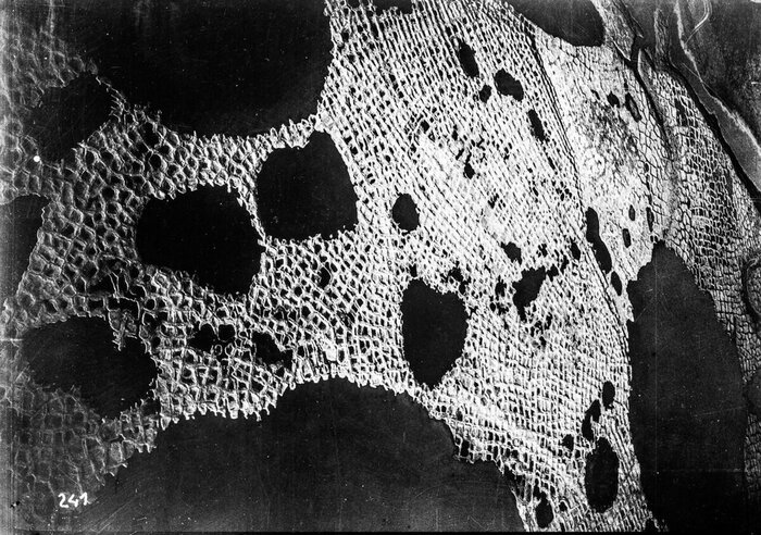 4. ������. ��� � ������� �� ����� ����� ������.