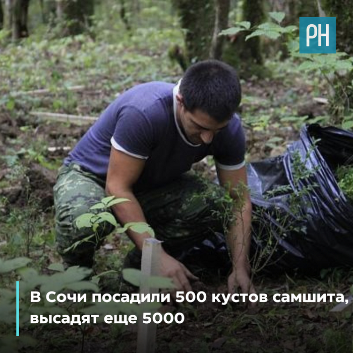    500  ,   5000 , 