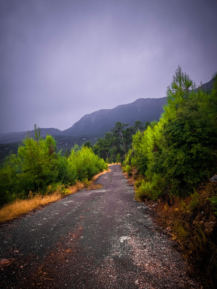 Очень необычный зеленый цвет