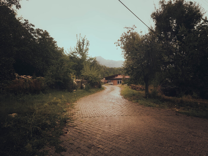 Дорога в Яйла Куздере