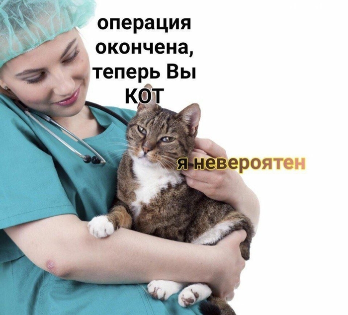 �������� ������ �������