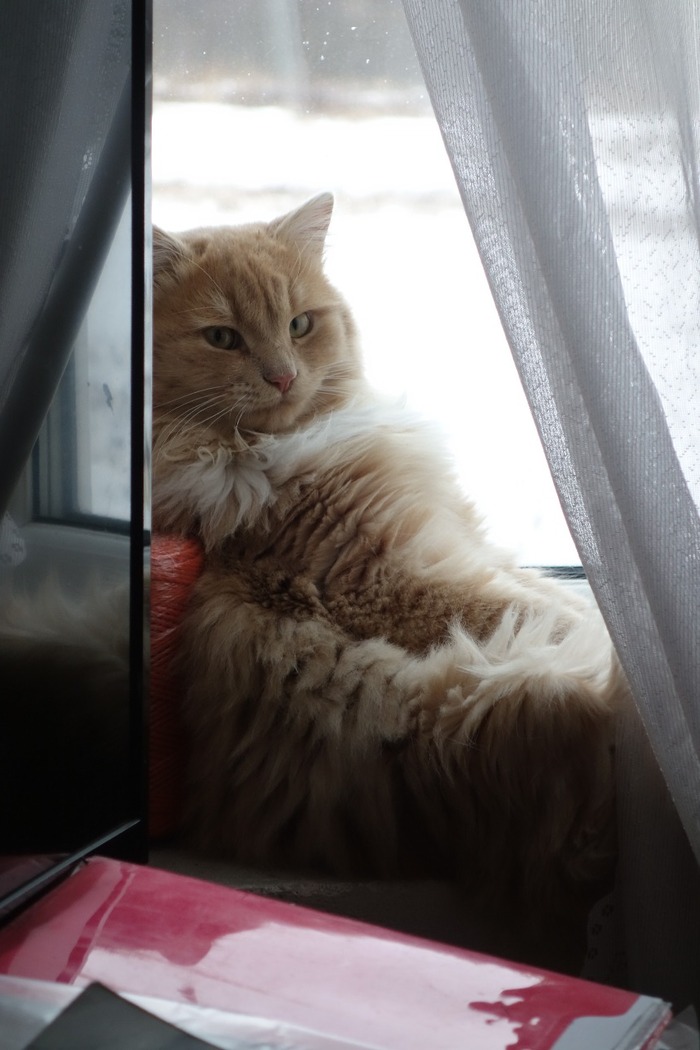 "Орёл не охотится на мух"