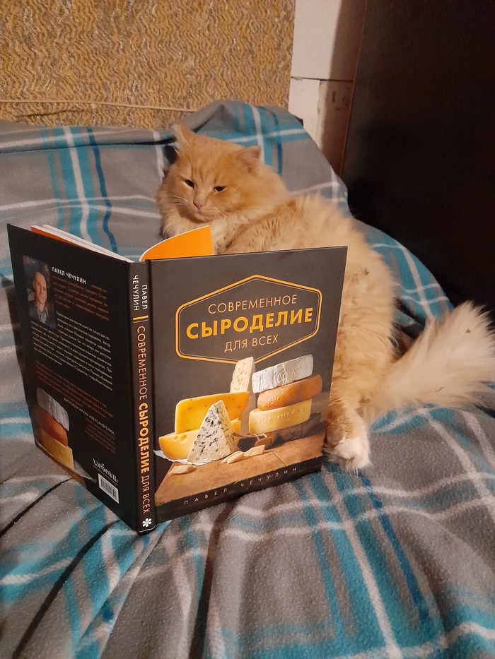 Спасибо, что не вслух)