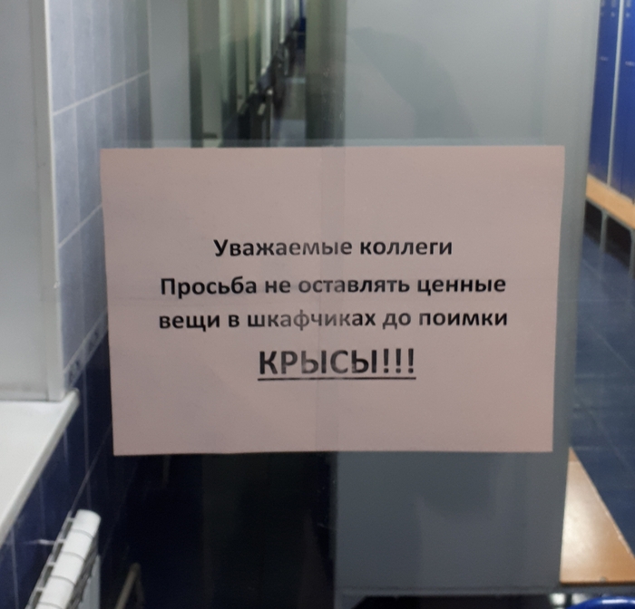    , ,  ,  