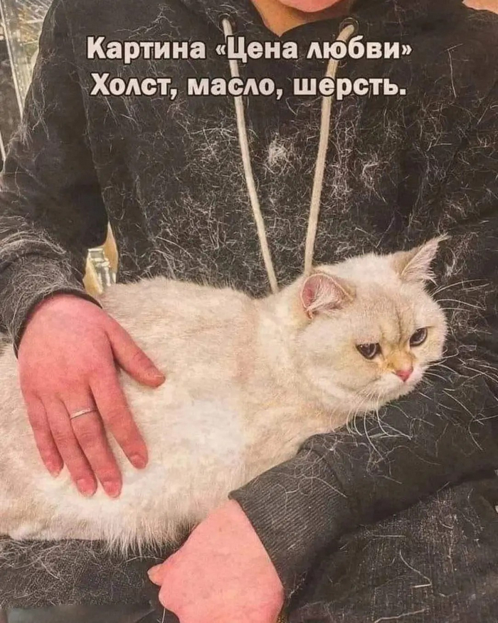     ? ,   , , 