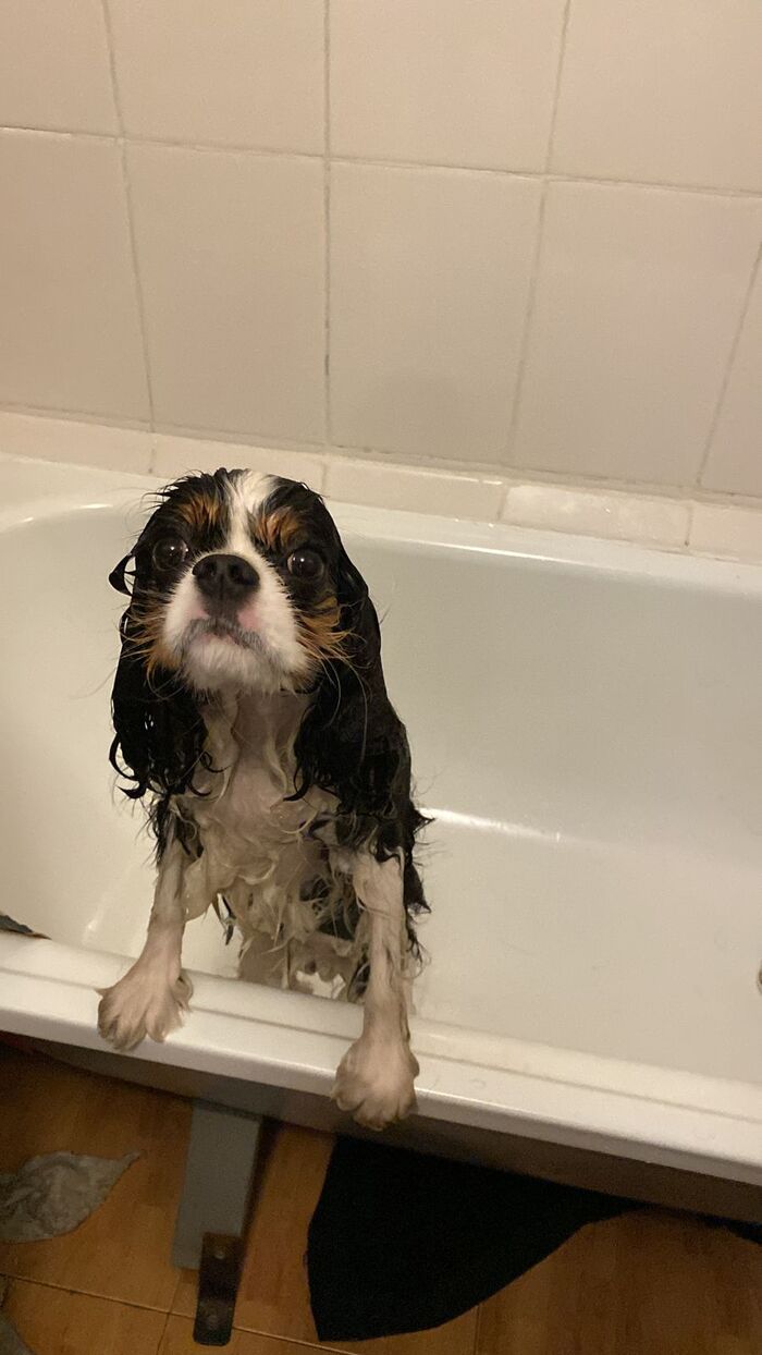 ����� ������ � ���� � ��� � ������� -� ����� ��� ��� �� ����?