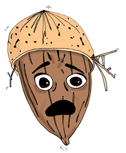 "Когда спрашивают что такое миндалевидное тело?"