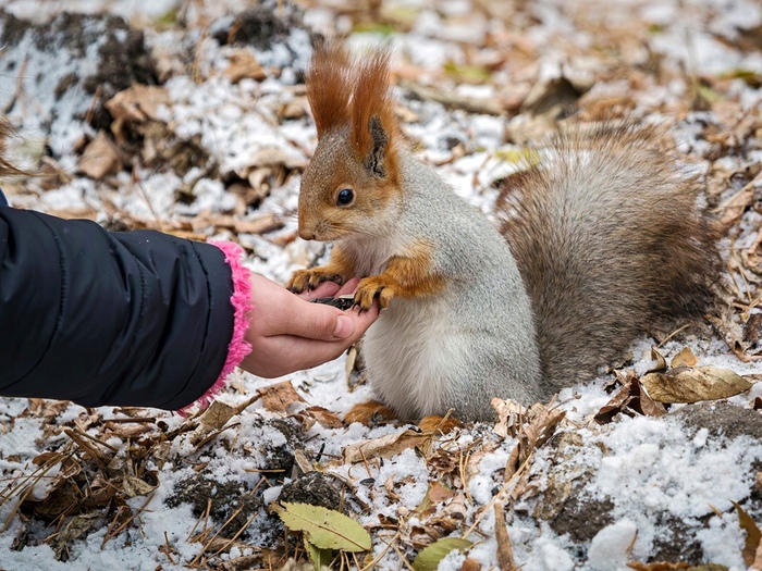 Пусть зима не будет голодной