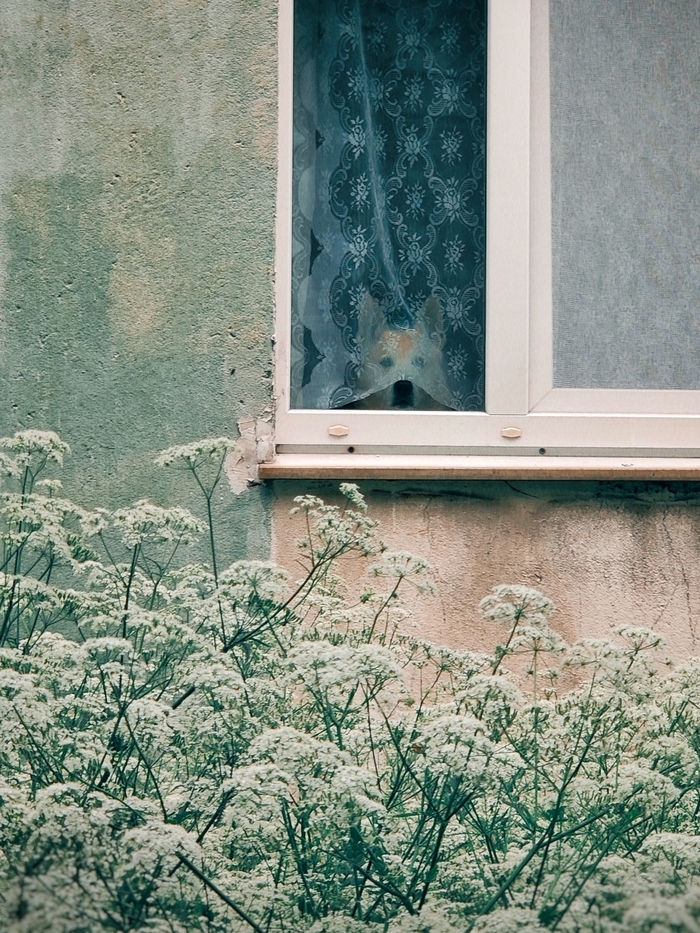 �������