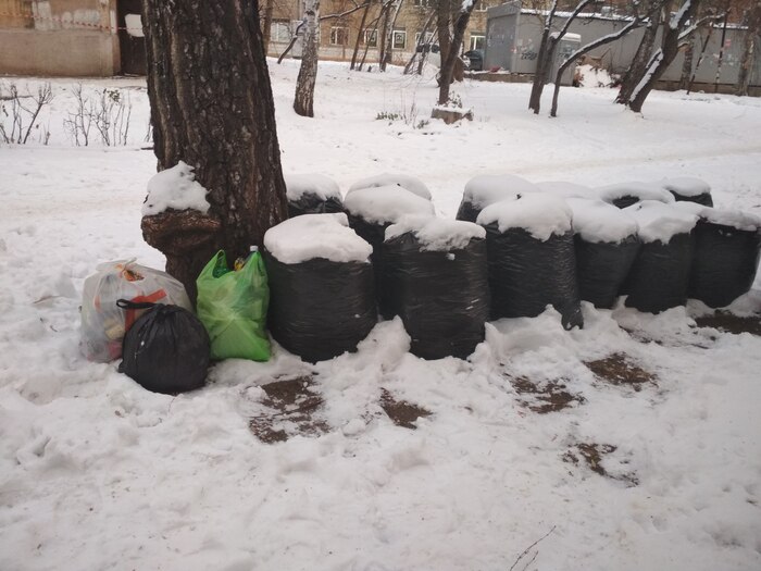 ������ ���� ����� ��� ����?