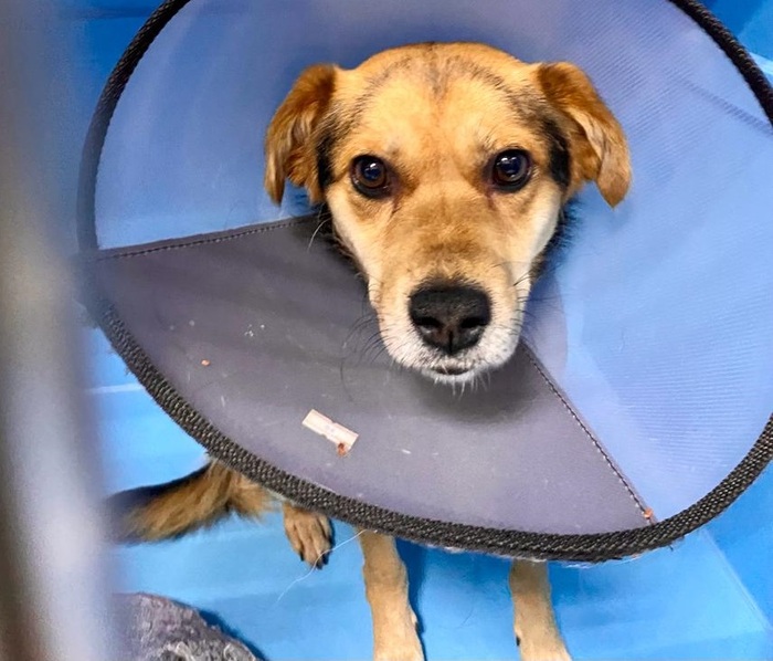 �����, ��� ��, ������ ���������. � �� ������ - �� ������ ������