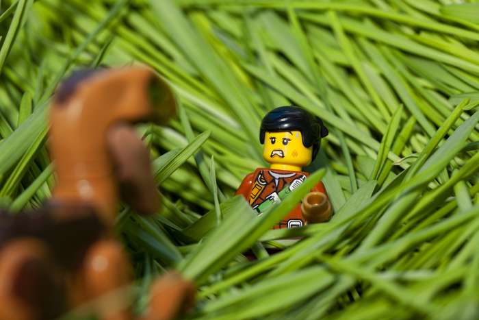 Охота LEGO, Трава, Динозавры, Фотография, Игры