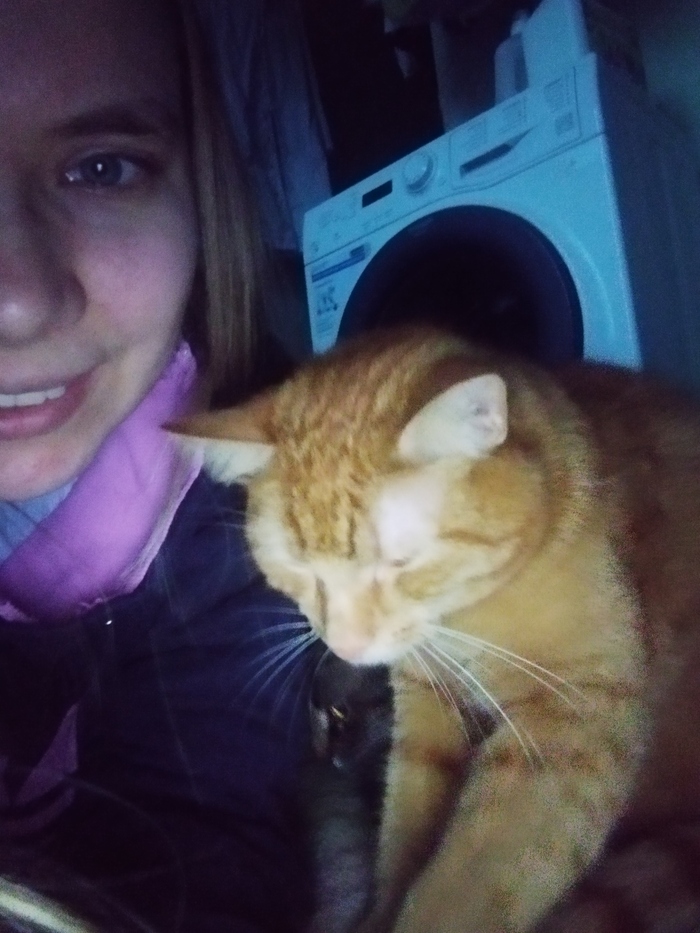     :3 , ,  , , , 
