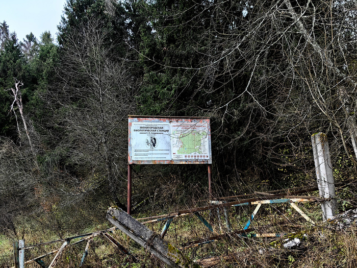 Идём по побережью, начинается территория Биостанции