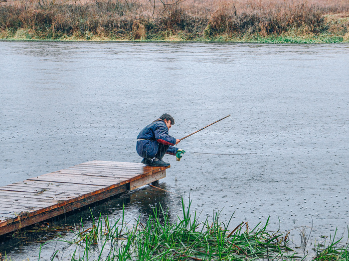 Дождь не останавливает рыбаков