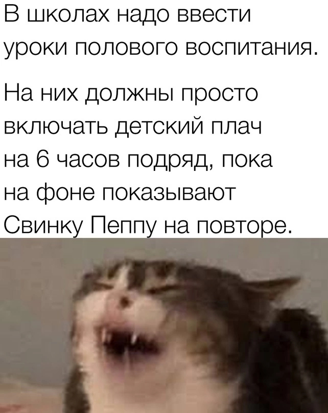  , ,  (),   