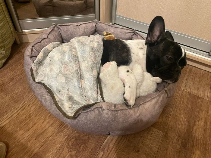 ��� ��� �� ���� (: