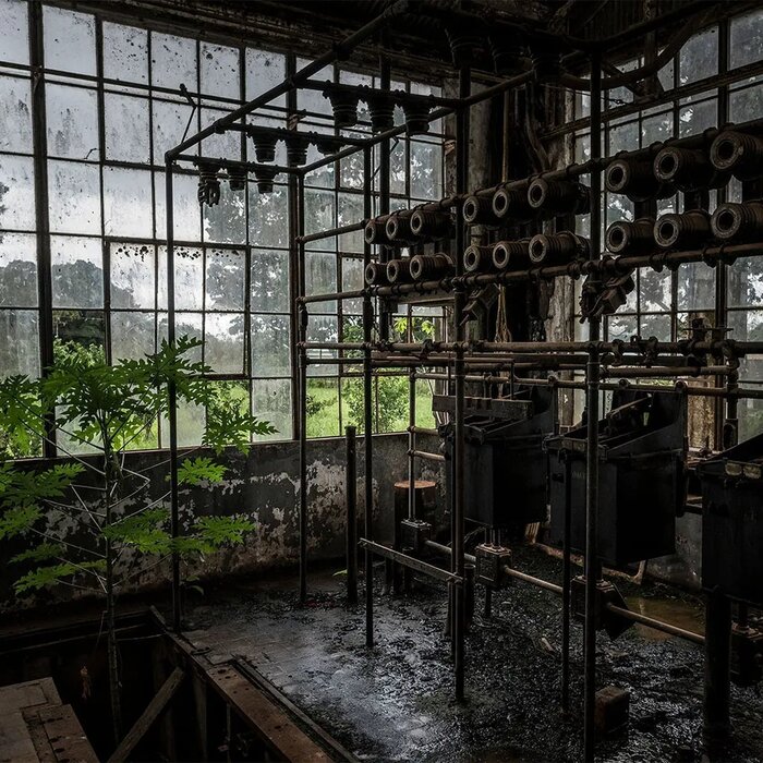 4         . ...   New York Times