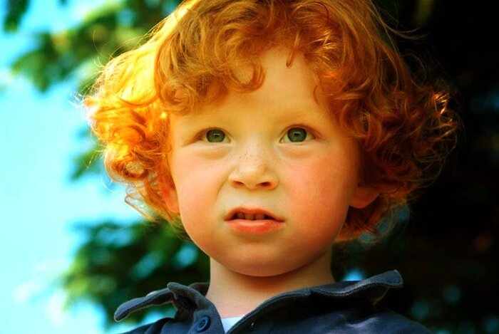 Рыжик | Пикабу