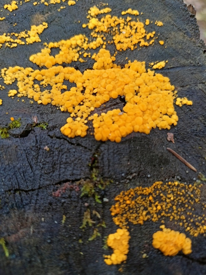 ��������� ������� �����