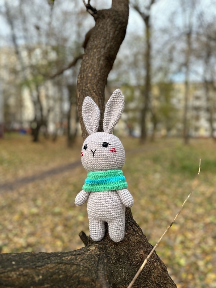 Вязаный зайка Амигуруми, Вязание крючком, Вязание, Рукоделие без процесса, Ручная работа, Вязаные игрушки, Мягкая игрушка, Своими руками, ВКонтакте, Telegram, Длиннопост