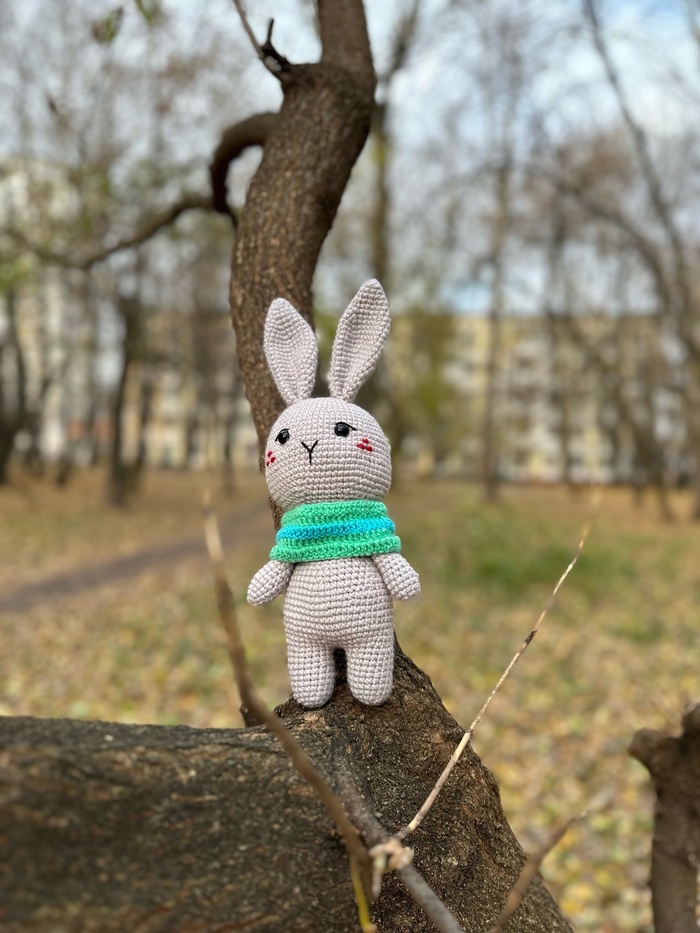 Вязаный зайка Амигуруми, Вязание крючком, Вязание, Рукоделие без процесса, Ручная работа, Вязаные игрушки, Мягкая игрушка, Своими руками, ВКонтакте, Telegram, Длиннопост
