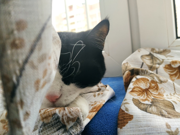 На подоконнике