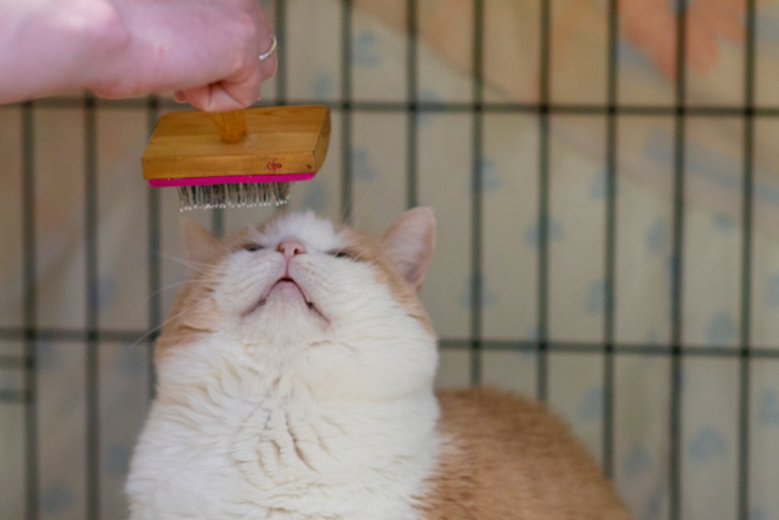 �������� ����� ���� �������