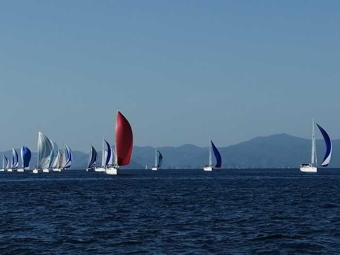     Open Sailing Week , , , , , , , ,  , , , ,  ,  , 