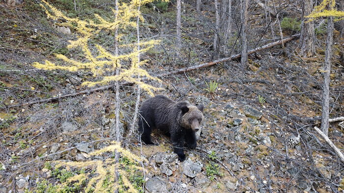 �� �� �� ���������� � ������ �������� ������