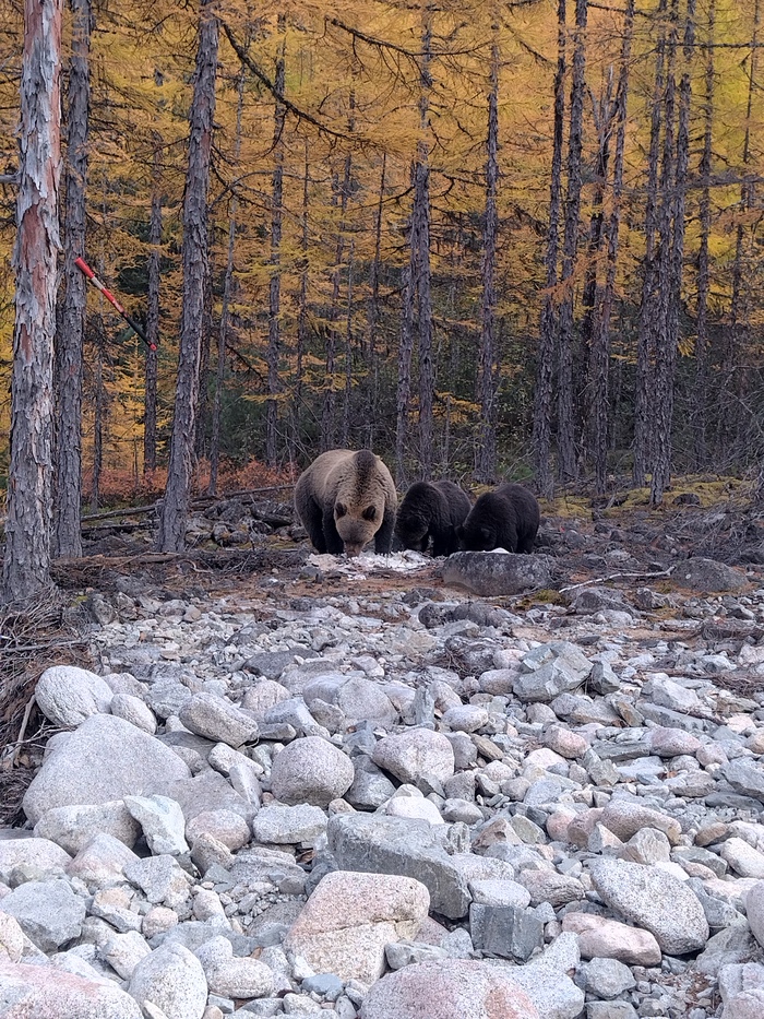 ������� �������� �� ������ ���� ��������, �������� ������ ����� � �������������, �� ���� ������� ��������� � ��� ����� ��� ���� ����� ���, ����� ����� ������ � ���������� ���������