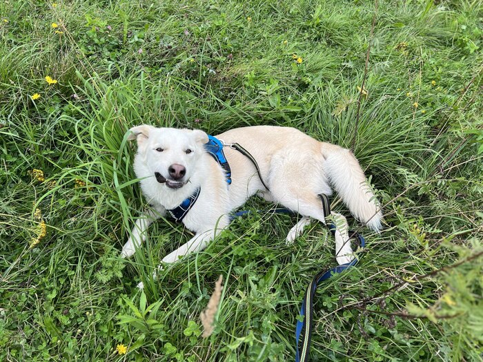 ����� ������� ������.