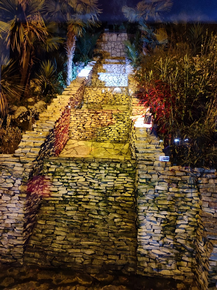    -   .  ,    -  .     .