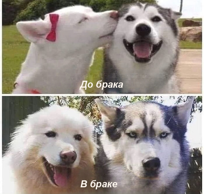 Всегда