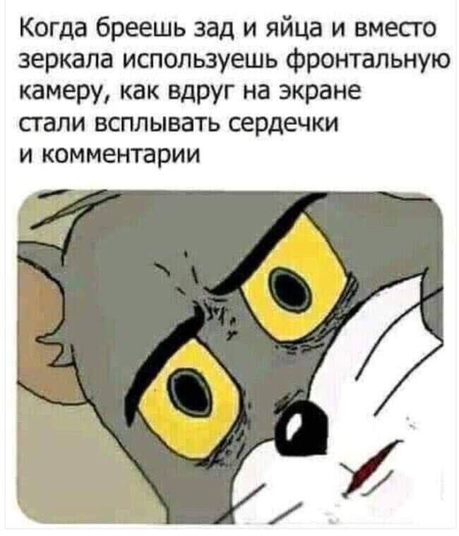 Внезапно | Пикабу