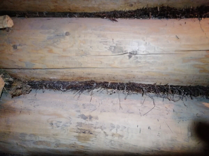     .    150 .      .     .     -  ,   .