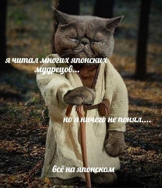 Познание мудрости