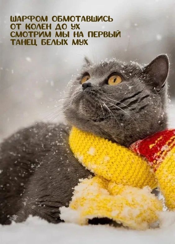 Встречаем зиму