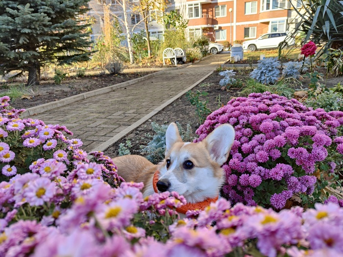 ������ �� ���������� ����������!)