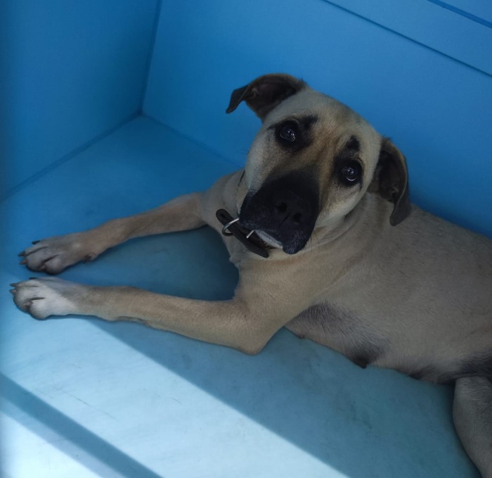 ������������� ��������� ������. ������ �� �� ���-������?