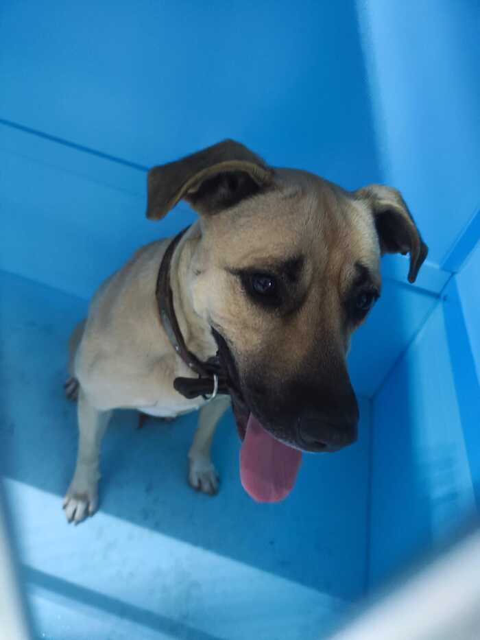 ������������� ��������� ������. ������ �� �� ���-������?