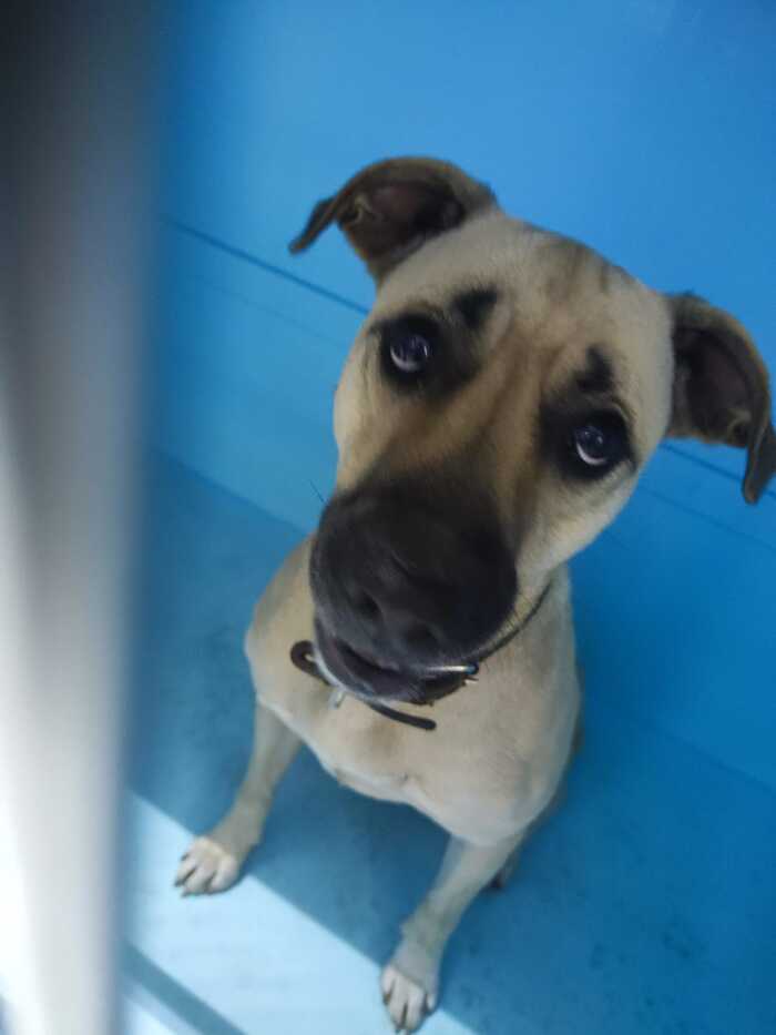 ������������� ��������� ������. ������ �� �� ���-������?